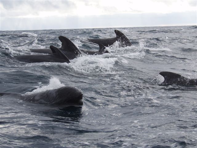 Coming in from every direction